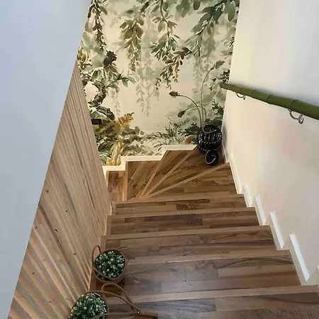 The Nest Apartman Olginate