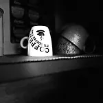 The Nest