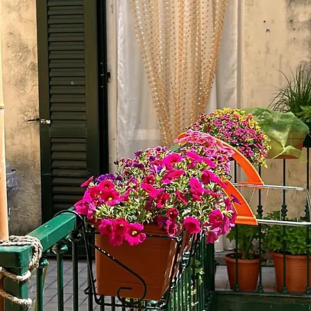 Apartment The Nest *